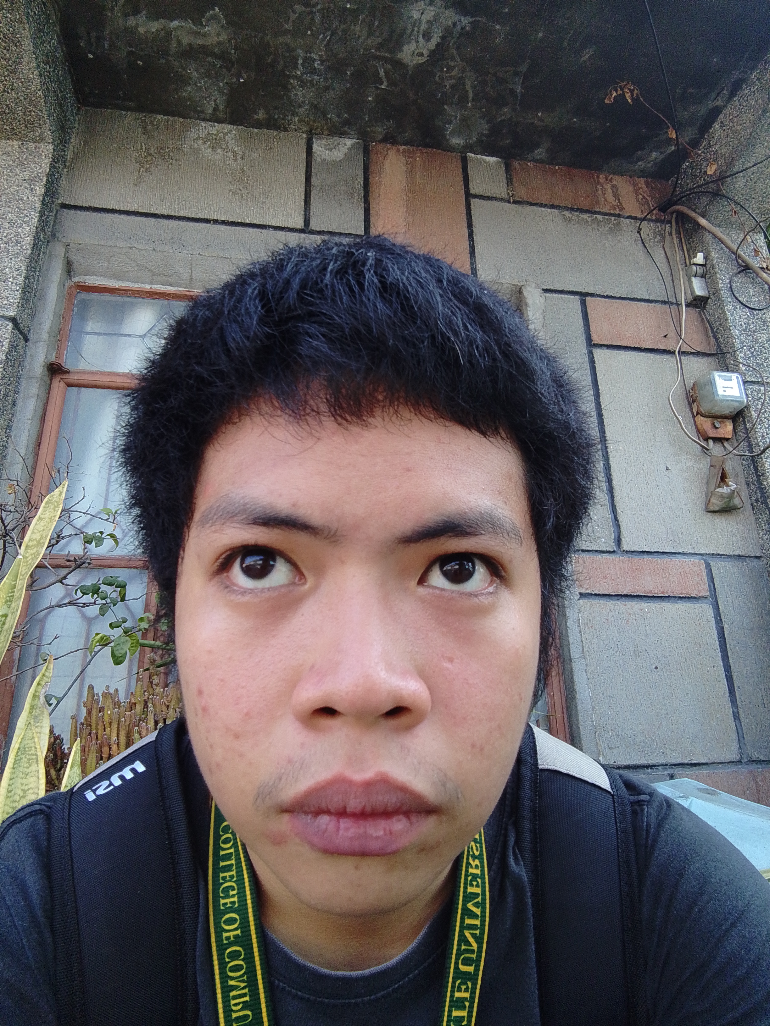 Dion Begonia Mangrubang portrait placeholder